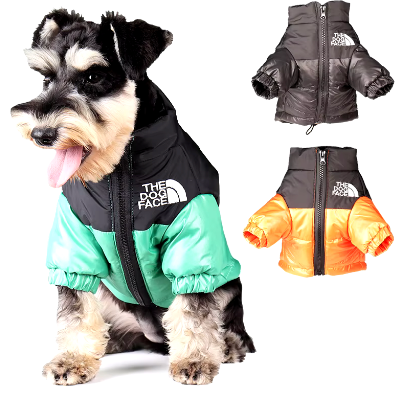 PawGuard Dog Jacket: Style and Warmth for Every Adventure